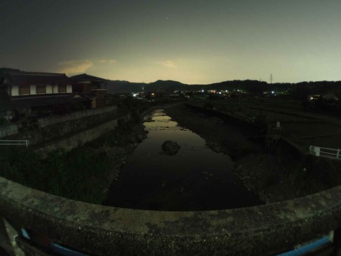 20220524ホタル2 (5)