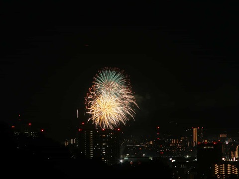 20250921くらわんか花火 (100)
