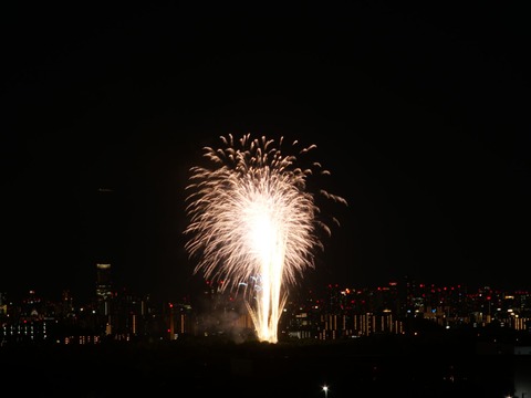 20240808辨天花火 (54)