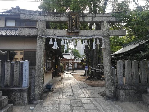 20220626野見神社 (1)