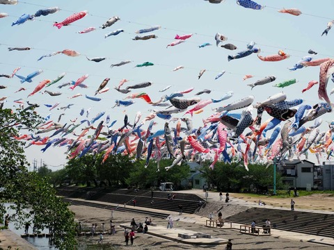 20250426こいのぼり (24)