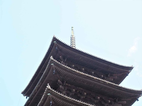 20230616東寺 (36)