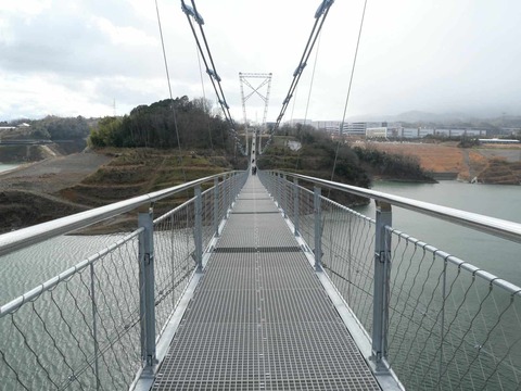 20250317吊り橋 (123)