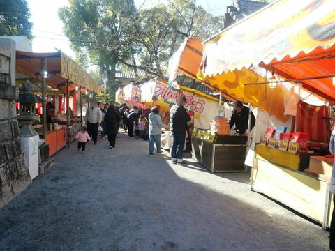 20250111高槻えびす祭り (62)