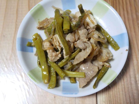 20240927ささげ (14)