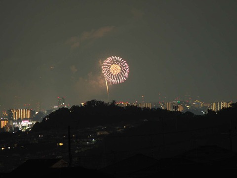 20220827なにわ淀川花火 (25)