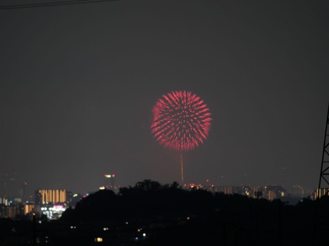 20240803なにわ淀川花火 (10)