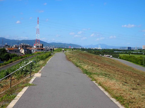 20230603淀川堤防草刈り (4)