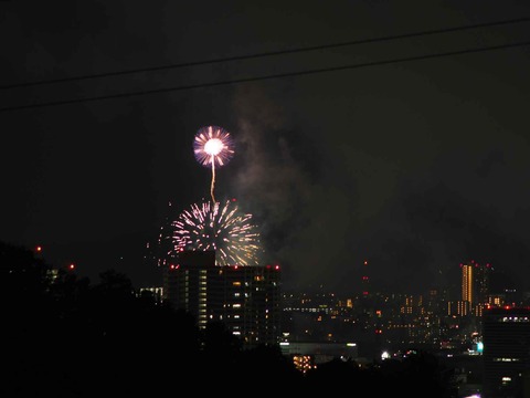 20220904くらわんか花火 (151)