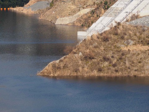 20230223安威川ダム (18)