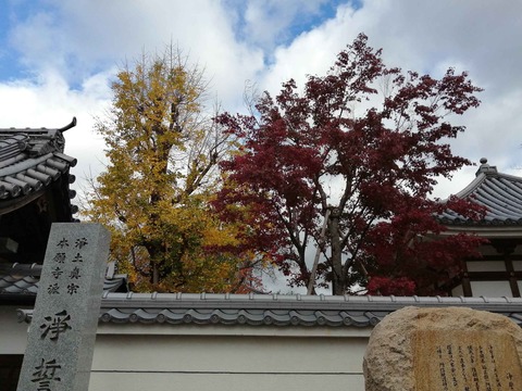 20201122koyo6