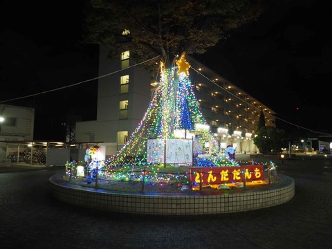20231115富田団地イルミ (4)