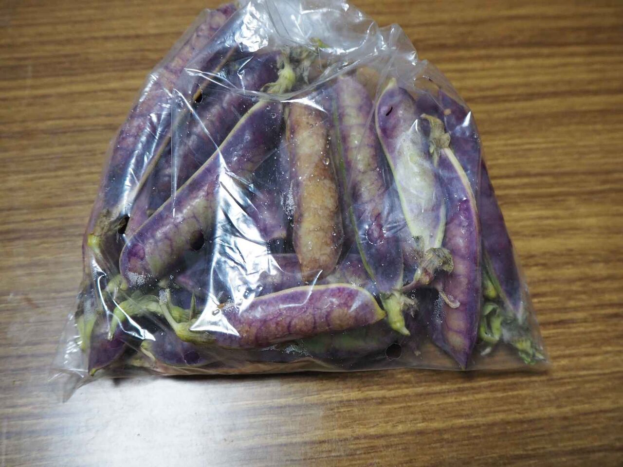 高槻の食材 その42 ツタンカーメンの豆ご飯を作ってみる 高槻network新聞
