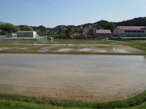 20250503田植え樫田 (5)