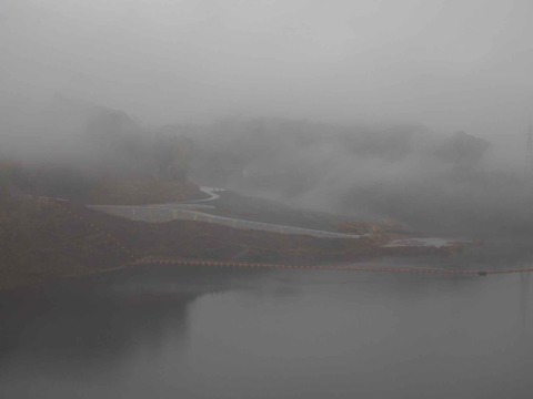 20230114安威川ダム (24)