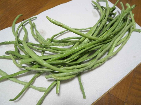 20240927ささげ (2)