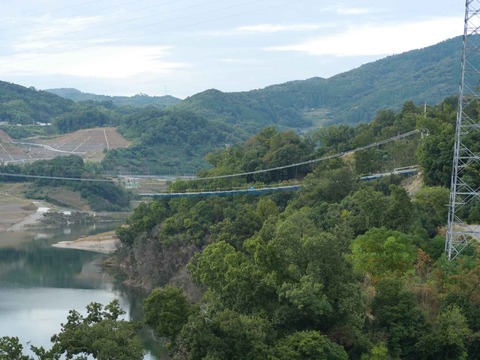 20241027吊り橋 (2)