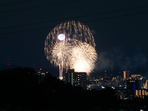 20260920くらわんか花火 (184)