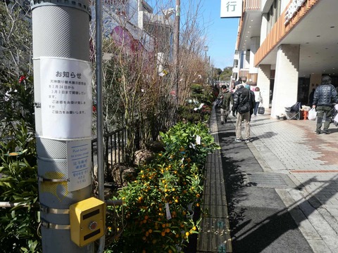 20250224植木市 (2)