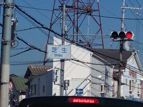 shibo_label2