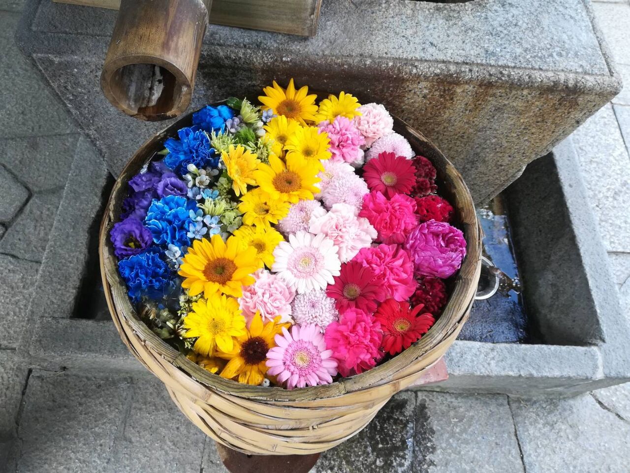 野見神社の花手水 夏バージョンになってる 7月18日 高槻network新聞 野見神社の花手水 夏バージョンになってる 7月18日 高槻network新聞