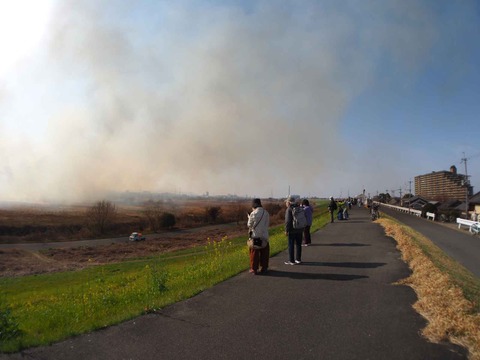 20230312ヨシ焼き (28)