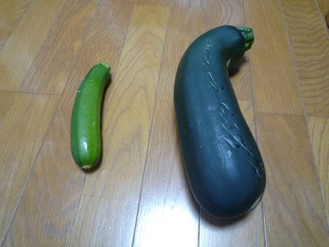 zukini1