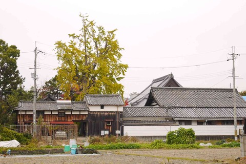 akt_koyo191124_15
