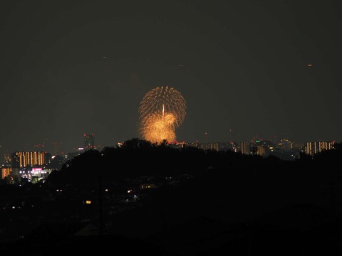 20220827なにわ淀川花火 (175)