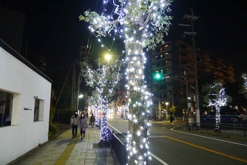 20201202simamoto5