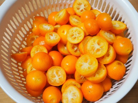 20230511キンカン (3)