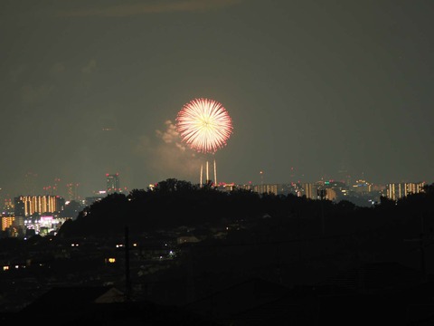 20220827なにわ淀川花火 (81)