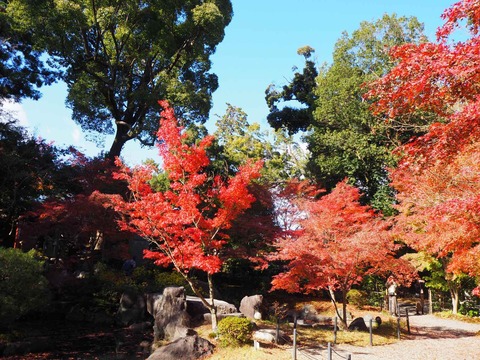20211123長岡天神 (5)