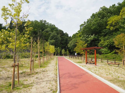 20230528金龍寺川公園 (12)