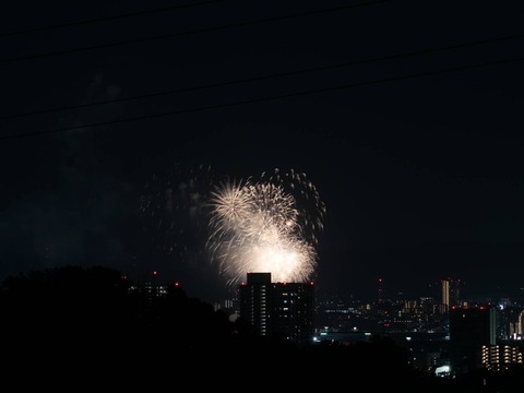 20240815くらわんか花火 (11)