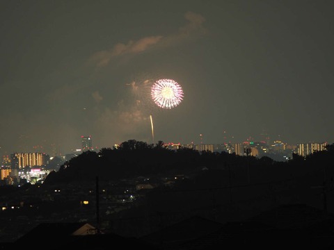 20220827なにわ淀川花火 (26)