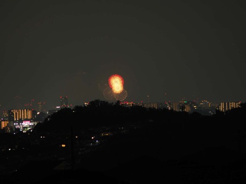 20220827なにわ淀川花火 (138)