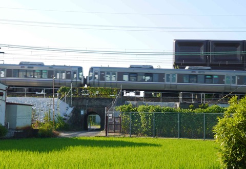 20200816tk39_2