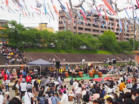 20240429こいのぼりフェスタ (5)