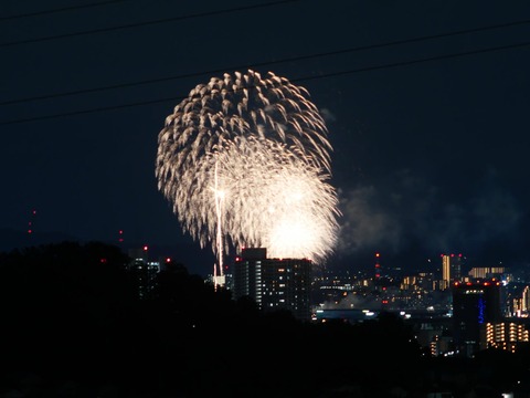 20260920くらわんか花火 (183)