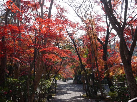 kabuzan20181127_13