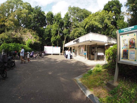 20221022万博記念公園 (77)