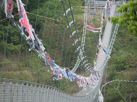 20260430安威川ダム (36)