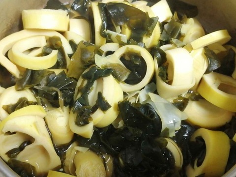 20230611はちく (7)