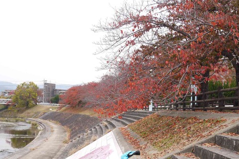 akt_koyo191124_14