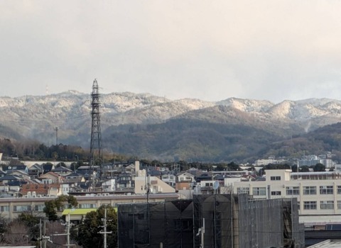 20250307ポンポン山 (2)