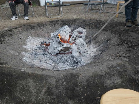 20260101三島鴨 (7)