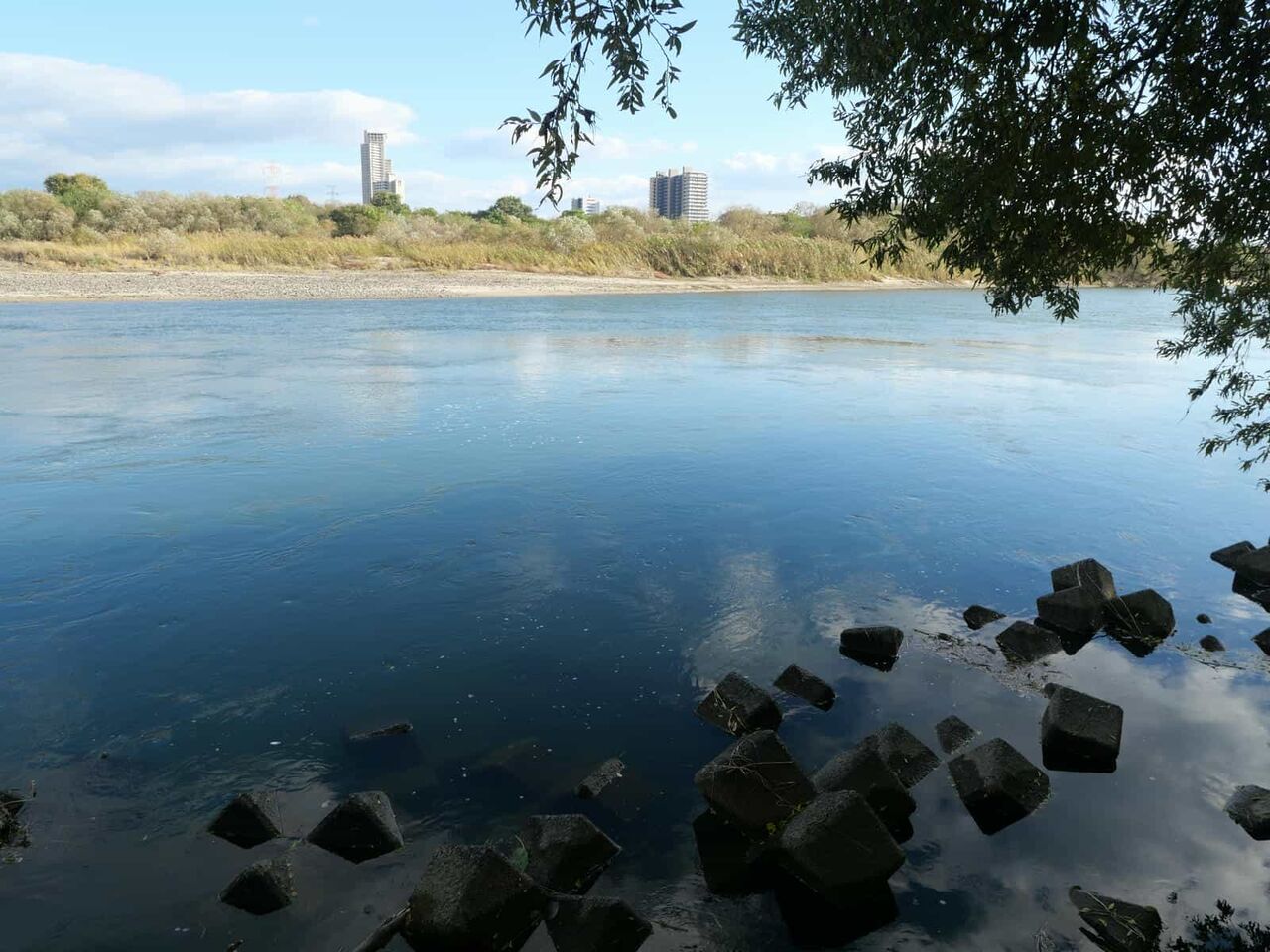 高槻側上牧付近の一番狭いあの場所 62年ぶりに運航された枚方から伏見