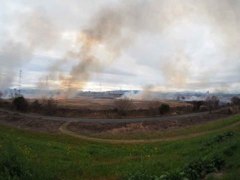 20240218ヨシ焼き (82)