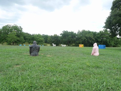 20260808大塚 (8)